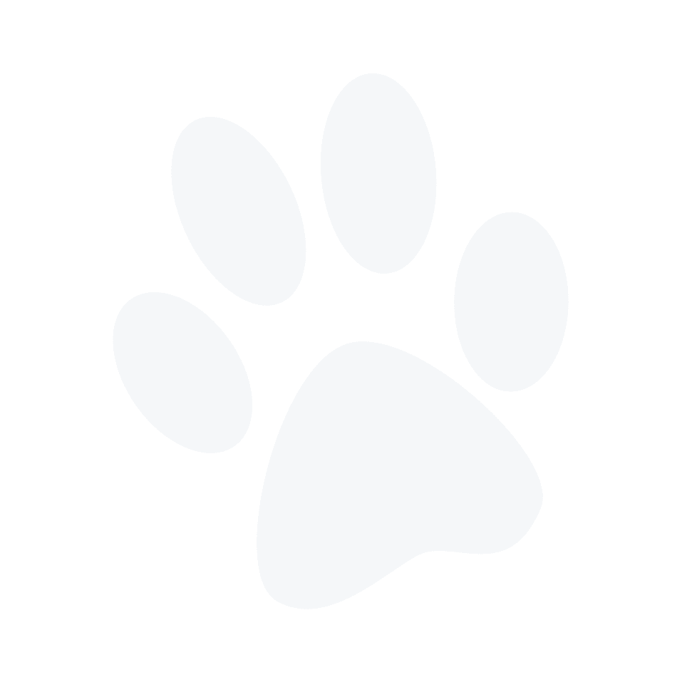 Black paw print on white background.