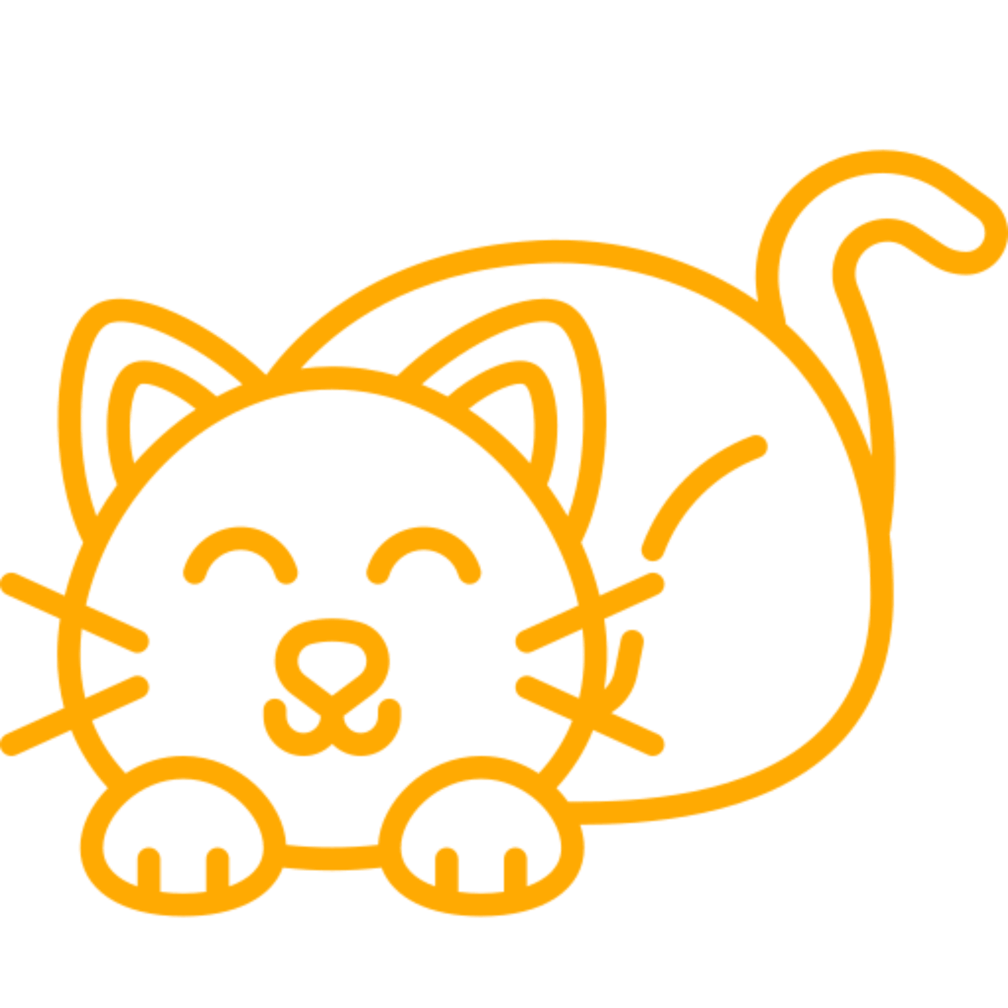 Orange cat line drawing on black background.