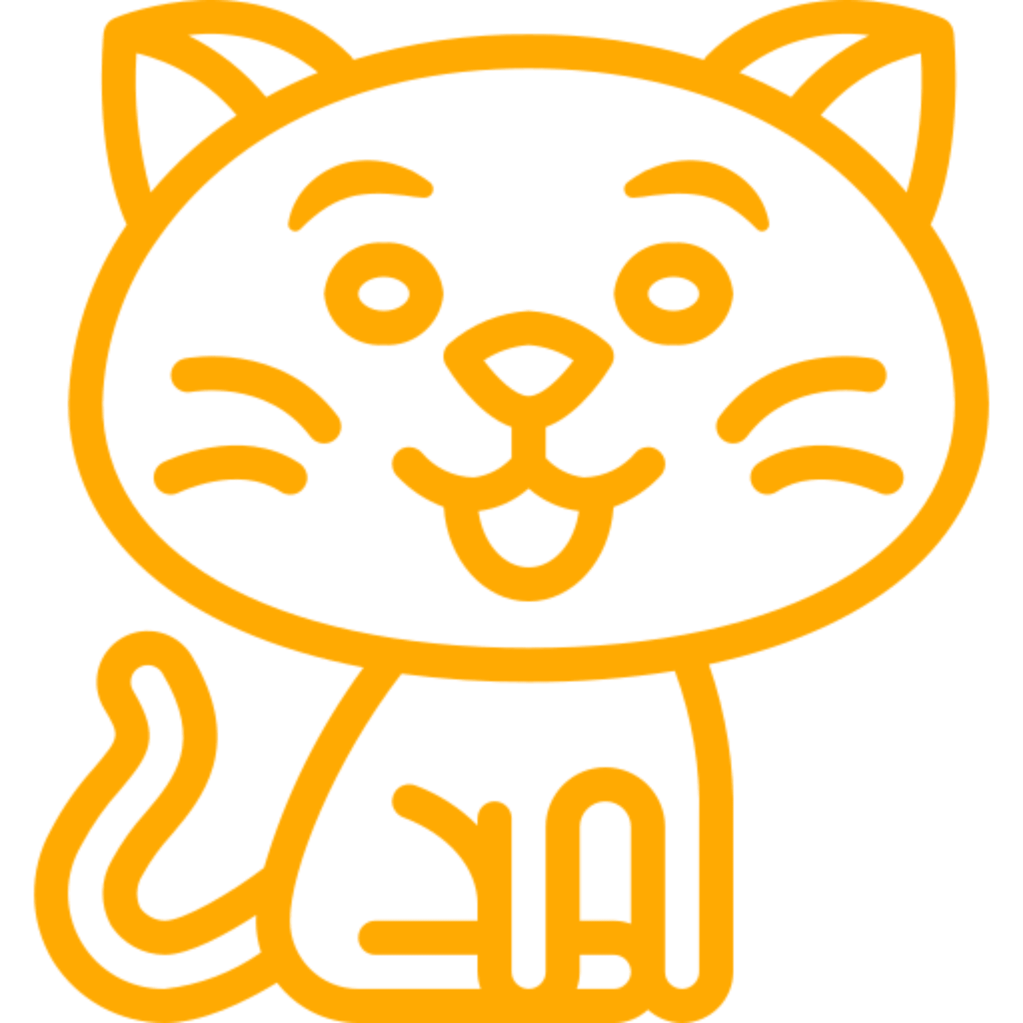 Orange outline of a smiling cartoon cat.