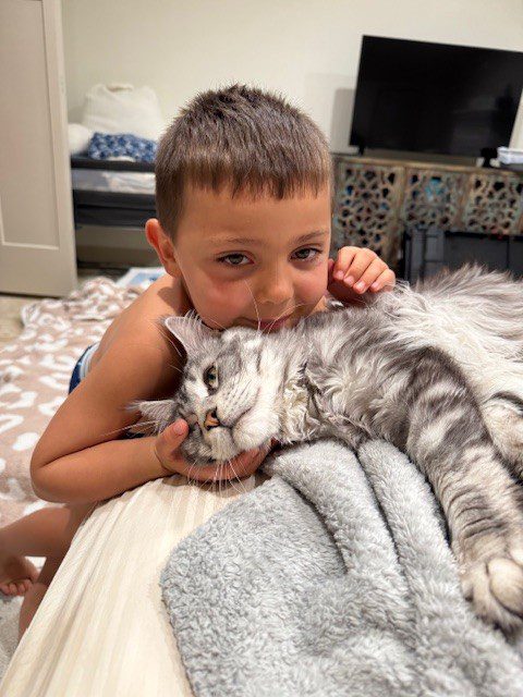A boy cuddles a gray cat on a bed, smiling happily.