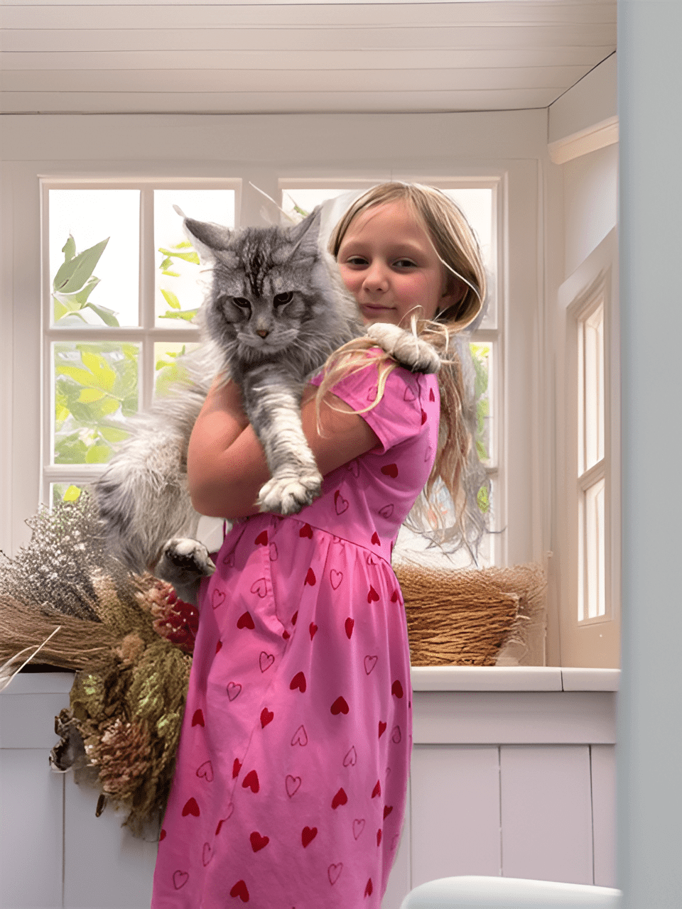 A girl in a pink dress holding a large fluffy cat indoors.