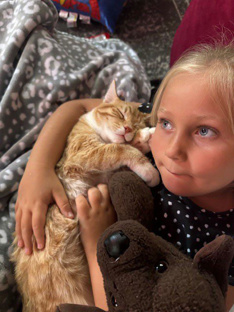 Child cuddling a sleepy orange tabby cat wrapped in a blanket.