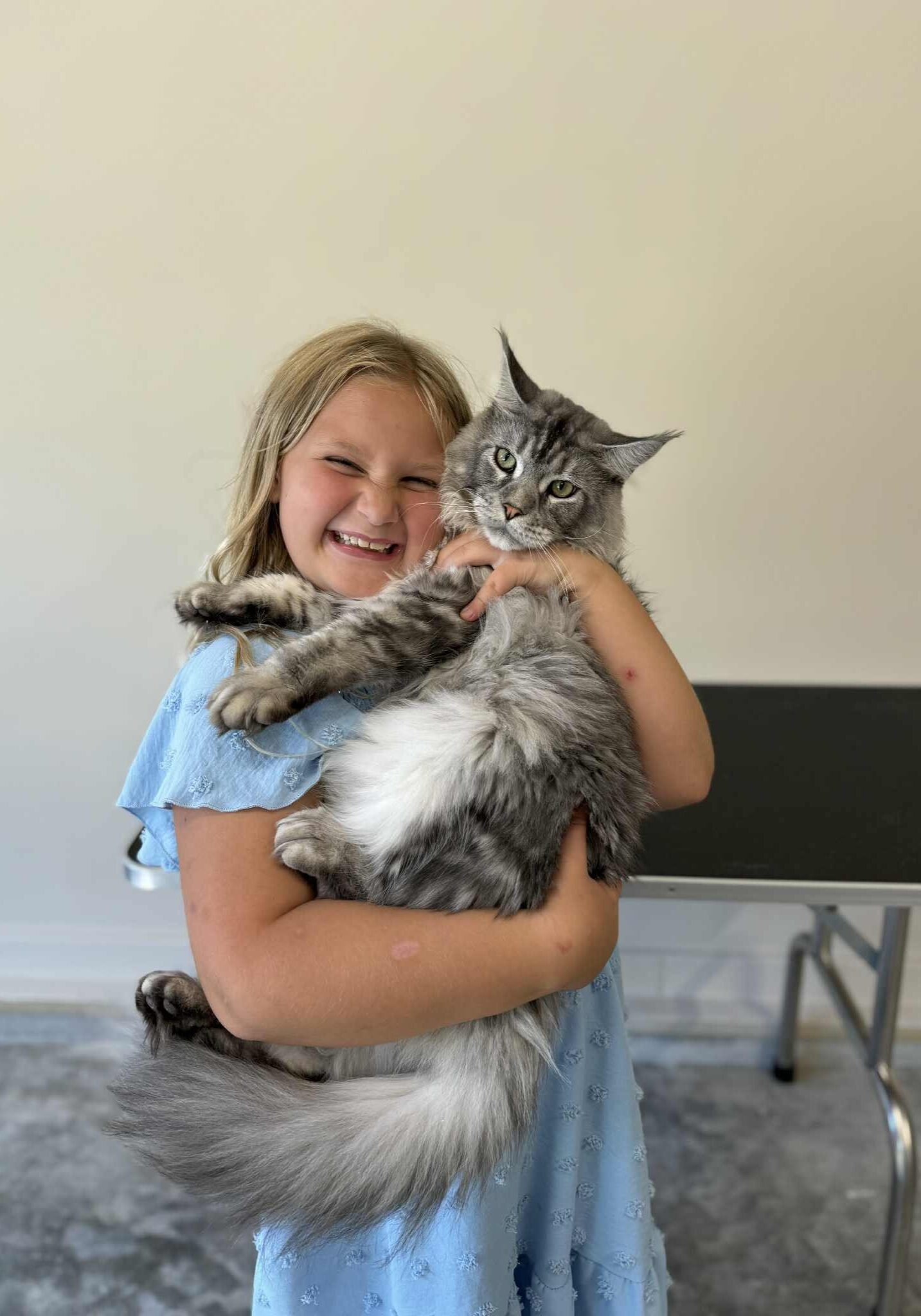 Woman happily holding a large fluffy cat indoors.